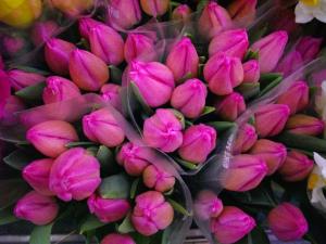 春だね～｜「フラワーショップ　よなが」　（山梨県甲府市の花キューピット加盟店 花屋）のブログ